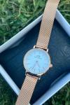 Daniel Wellington  Saat  S192